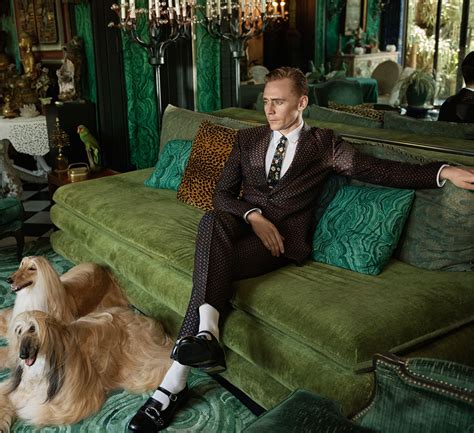 Tom Hiddleston new Gucci campaign stars Afghan Hounds